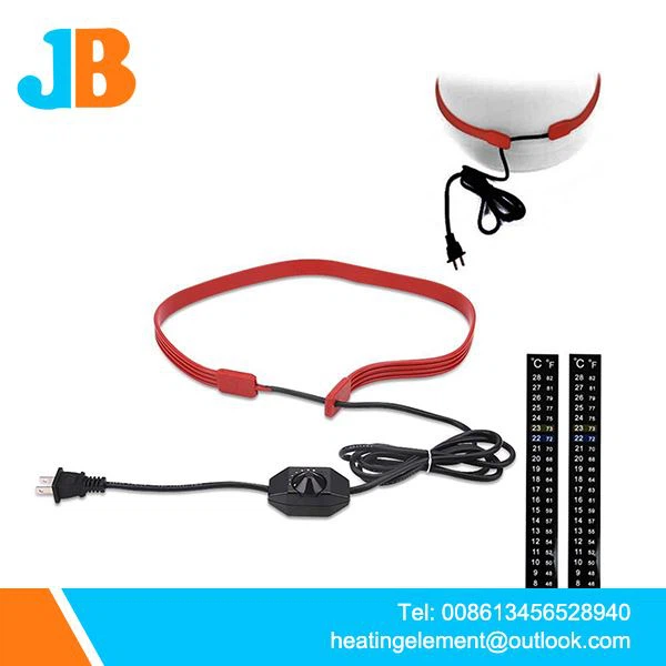 48BB5BAC81F359C4519A3E21DF6CF268